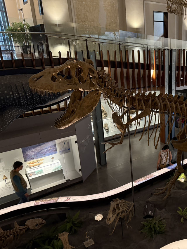 Roar-some Dinosaur Exhibits At The Natural History Museum Of Taiwan 