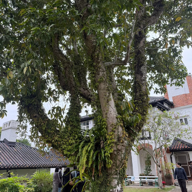 香港元洲仔自然環境保護研究中心深度遊｜走進濕地秘境，解鎖生態之美🌿