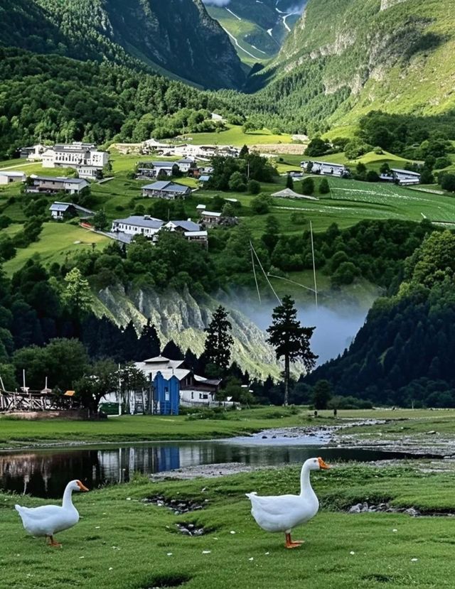 雨崩村：徒步天堂嘅秘境之旅
