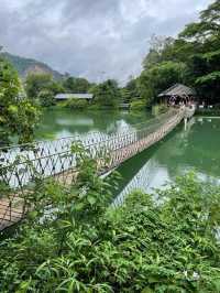 吸氧洗肺好去處|肇慶紫雲谷攻略