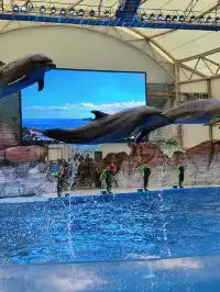 漳州天柱山海洋館：夢幻海洋世界