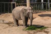 動物園一日遊親子情侶可打卡