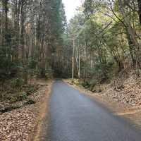 Adventures in Arashiyama 