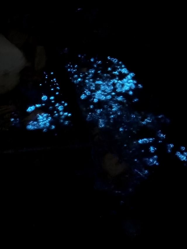 喺東極青浜島，住咗就唔想走嘅名宿