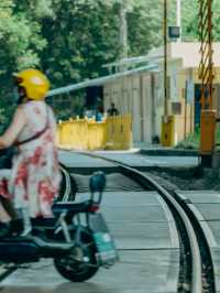 開往夏日森林秘境的列車｜武漢馬鸚路萬家巷