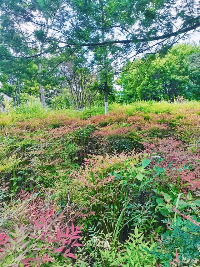 週末小住 發現超正寶藏住宿