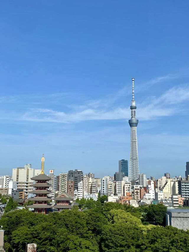 🏮淺草街景中的安定日常