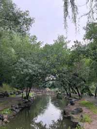 雨中漫步圓明園