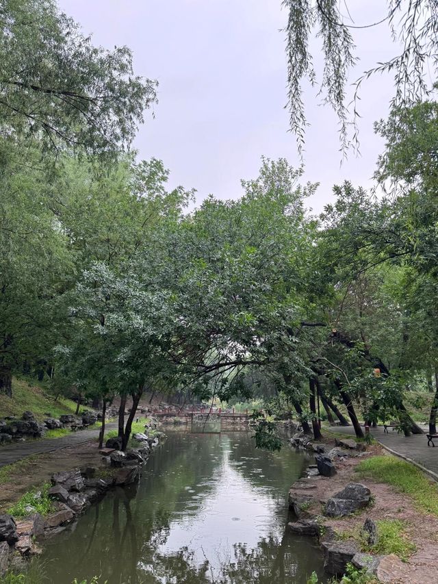 雨中漫步圓明園
