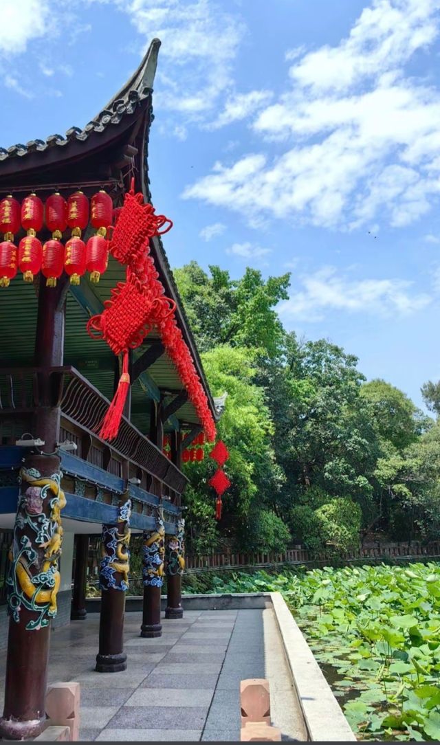 三星堆旁！暑假必住彩虹玻璃新中式旅館