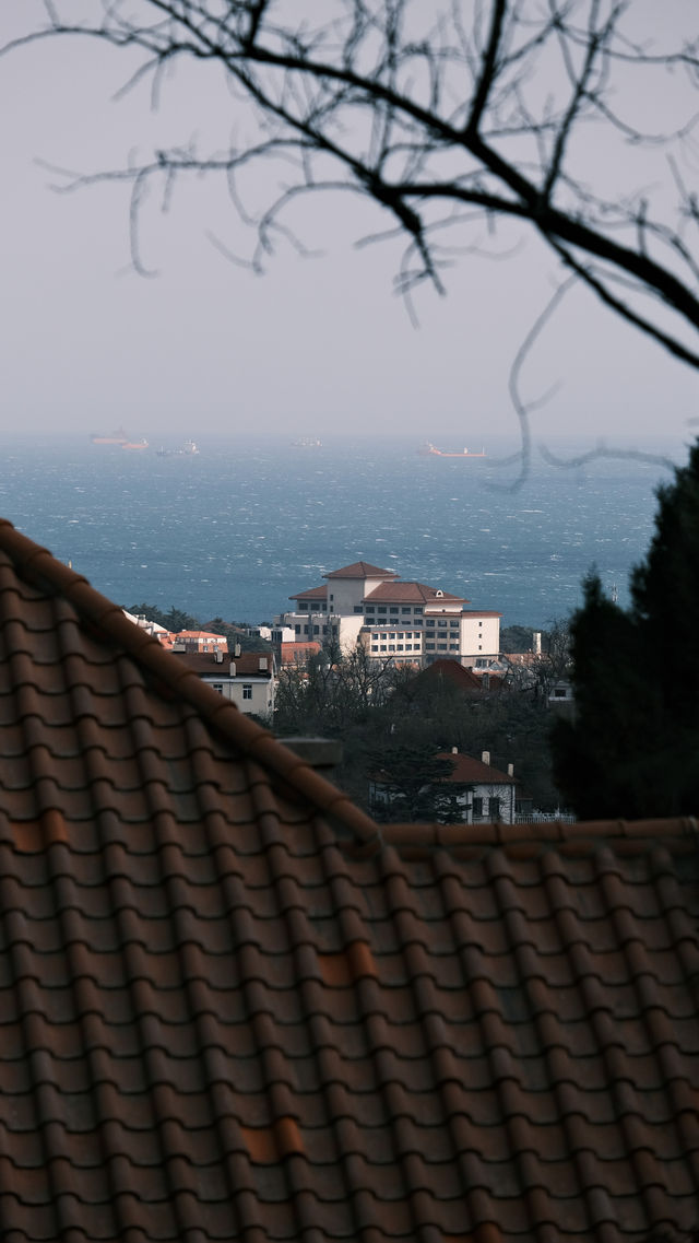 關於春天 | 青島春日漫遊指南