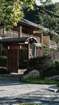 京城隱居 | 邂逅悉曇，遇見另一種生活