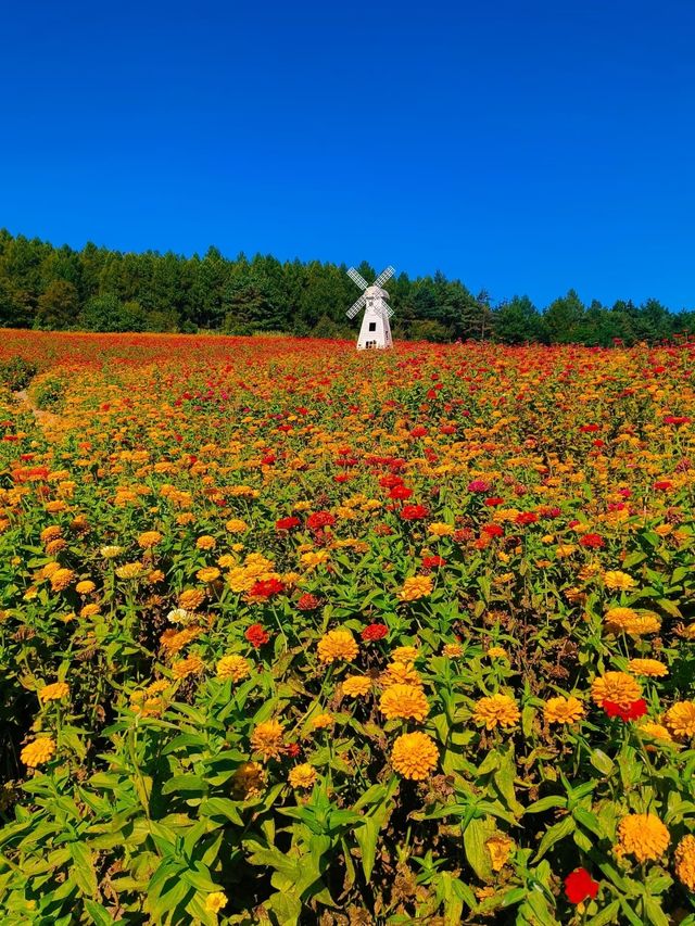 延吉帽兒山森林公園景區