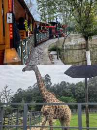 黃龍溪歡樂田園：闖入童話裡的四季牧歌
