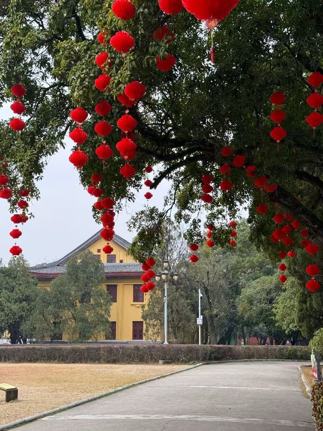 桂林 陰天都擋唔住嘅美好之旅