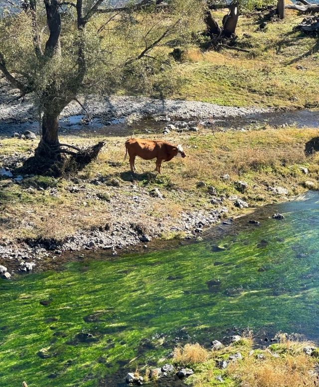 阿爾山，這座隱藏在大興安嶺深處嘅寶藏小城，係畢業旅行嘅絕佳之選。以下係一份詳細嘅阿爾山旅遊攻略：