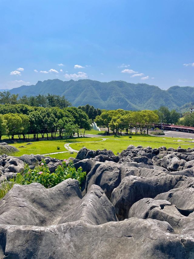 國家地理沒騙我！宜賓這個世界地質公園絕了