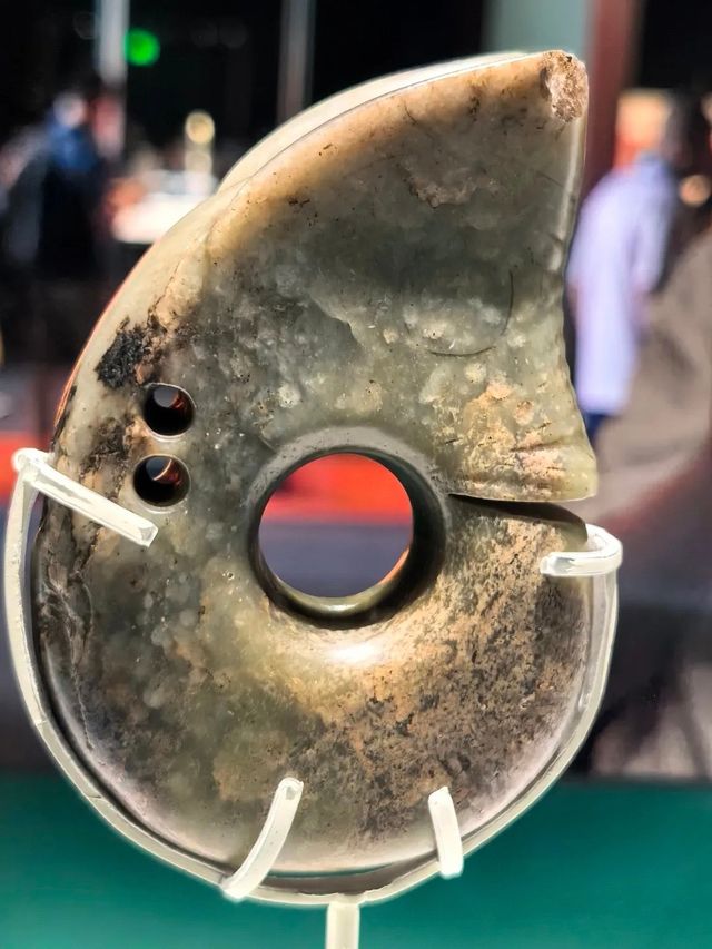 終於等到你！上海博物館紅山玉器展5000年群龍出動