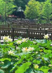 住錦江之星品尚，逛五緣灣濕地公園