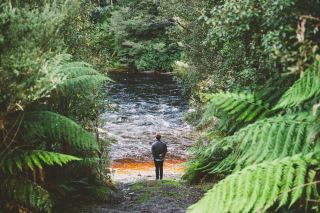 Tasmania: Eight Natural Encounters to Rejuvenate Your Body and Soul