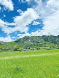 《塔公草原 | 川西絕美仙境，影相打卡全攻略》