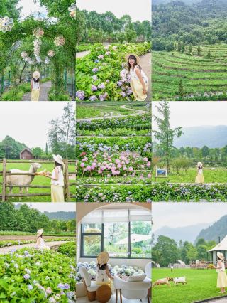 A 1.5-hour getaway from Chengdu to a secret forest flower paradise! No crowds!