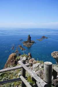 北海道夏日花海，每一幀都似電腦壁紙