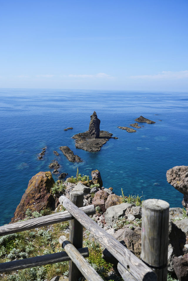 北海道夏日花海，每一幀都似電腦壁紙