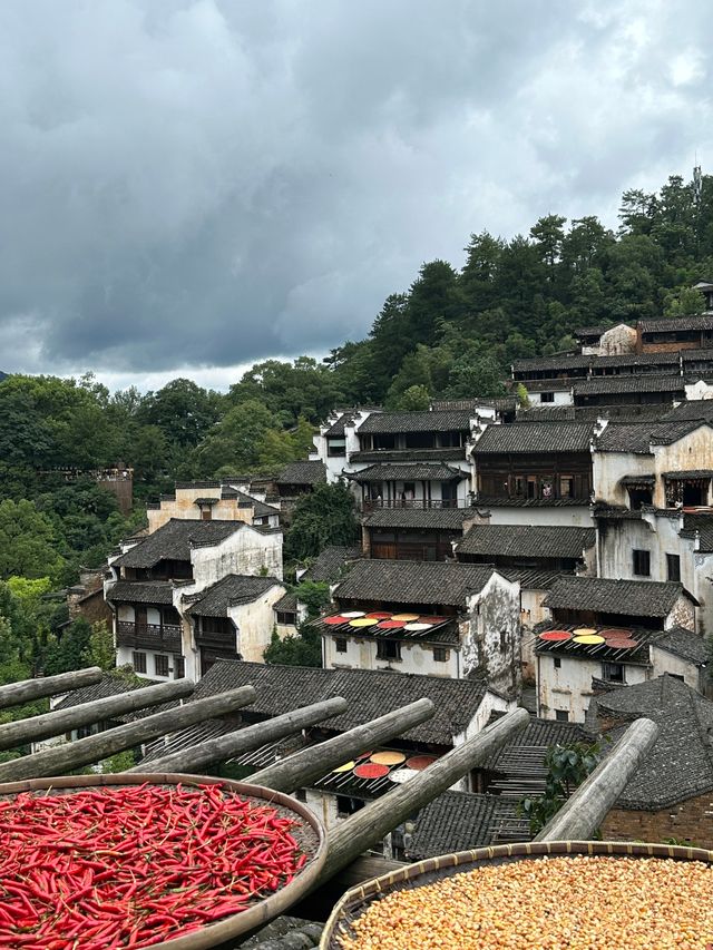 煙雨婺源美如畫