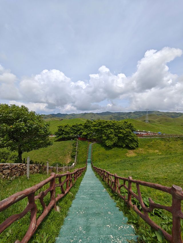 闖入南方嘅呼倫貝爾——南山牧場