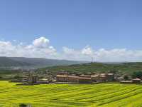 甘南旅行，總有一天你會踏上的夢幻之地