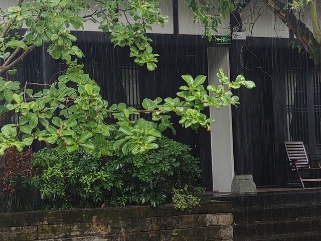 閬中花間堂·閬苑｜帶娃住進百年院落，解鎖非遺手作的治癒時光