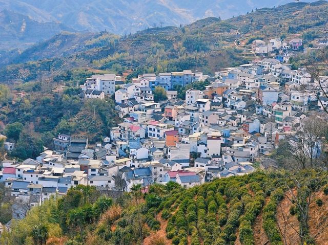 七月小岫村：清涼峰下的綠色寶藏 七月，懷揣著敬畏與好奇，走進黃山市三陽鎮小岫村，彷彿翻開了一本