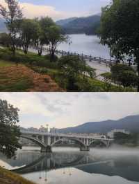 住進了一家神仙民宿