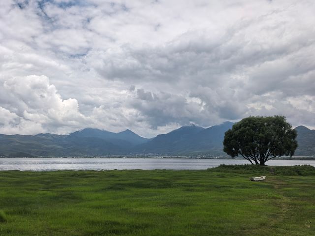 拉市海 雪山下的美麗湖泊 拉市海 雪山下的美麗湖泊
