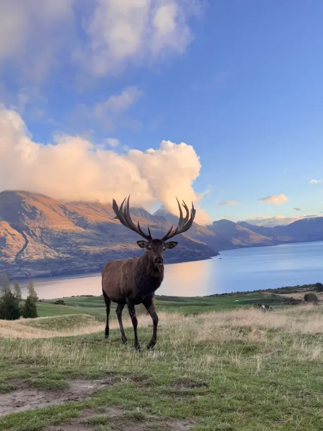 New Zealand's Autumn | A Fairytale World