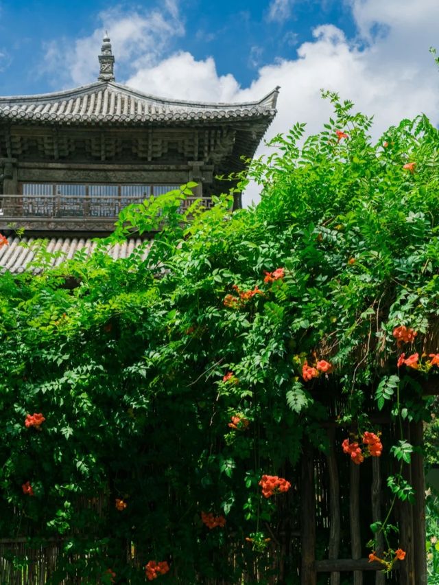 抓住夏天尾巴，與凌霄共赴水尚生活之約！