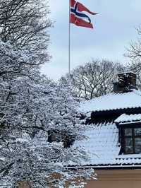 夏天必去挪威2日峽灣精華遊太絕了