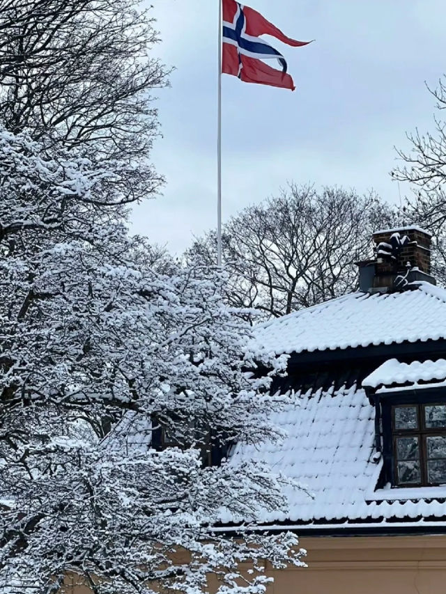 夏天必去挪威2日峽灣精華遊太絕了