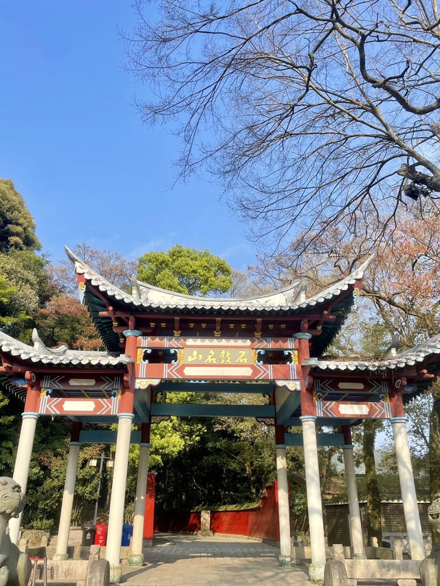 青山回響，鼓山的鐘聲與雲海