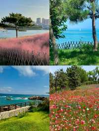 被問爆的青島小眾拍照地 海之戀Park