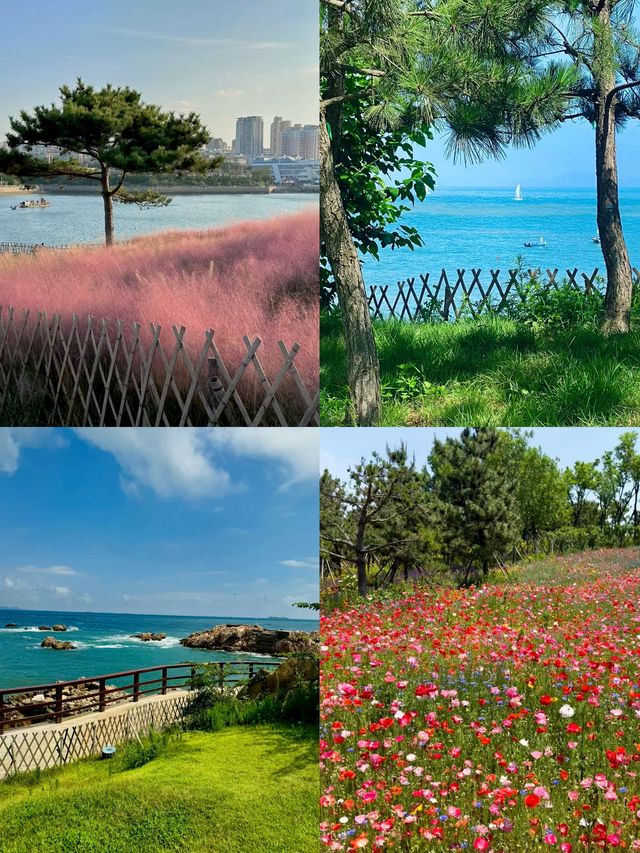 被問爆的青島小眾拍照地 海之戀Park
