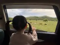帶娃旅行2歲10個月內蒙之旅！詳細攻略