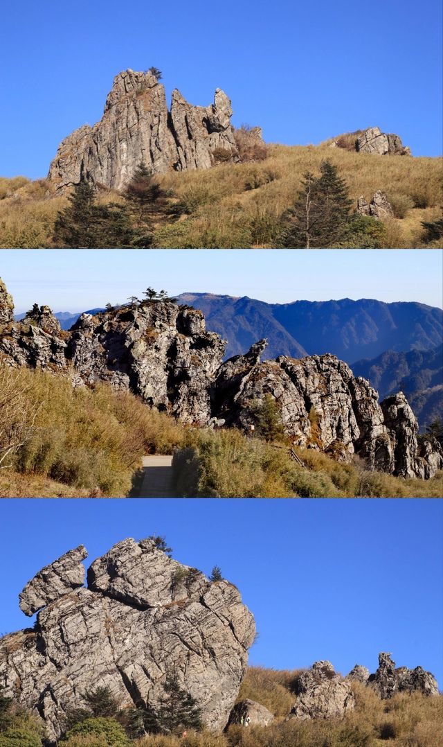 湖北神農架+三峽彩林賞秋自駕攻略