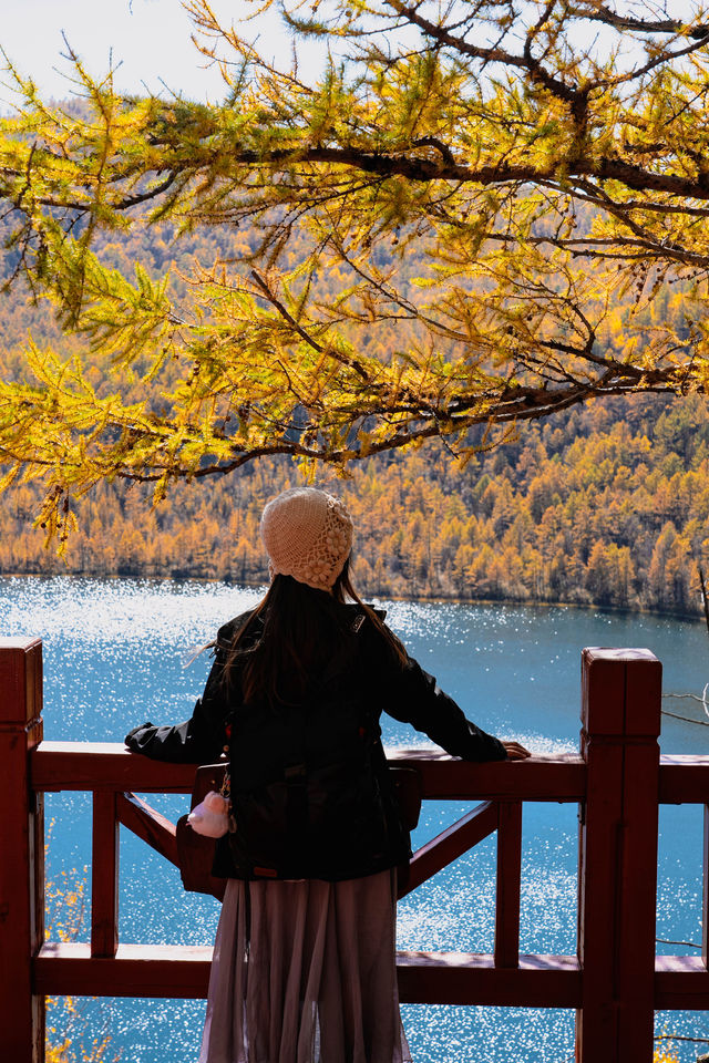 剛從阿爾山回來，說說我的真實感受和旅遊建議