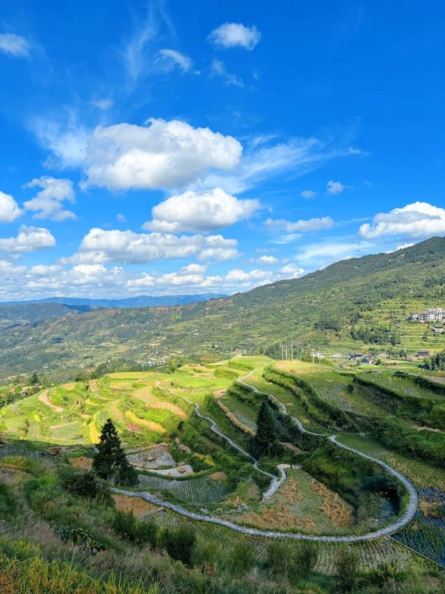 山中的避世秘境