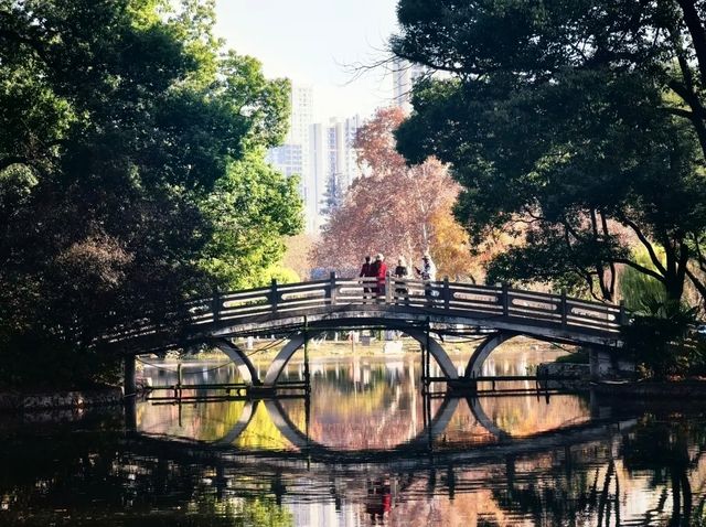 誤入童話世界，青山公園三色治癒之旅:

一、秋日必賞三絕：定格不同色系的秋景
 
1. 銀杏大道·鎏