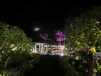 Returning Home: Sugar Beach Experience