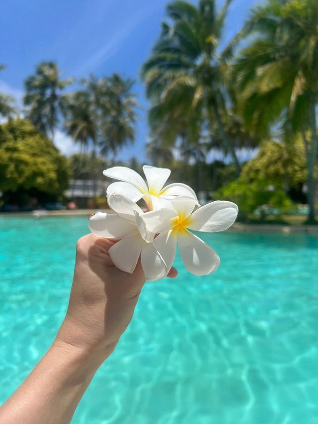 Missing Villa Park – Sun Island Already!