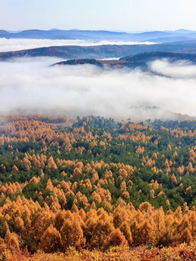 在十月的長白山，邂逅一場絢爛至極的秋
